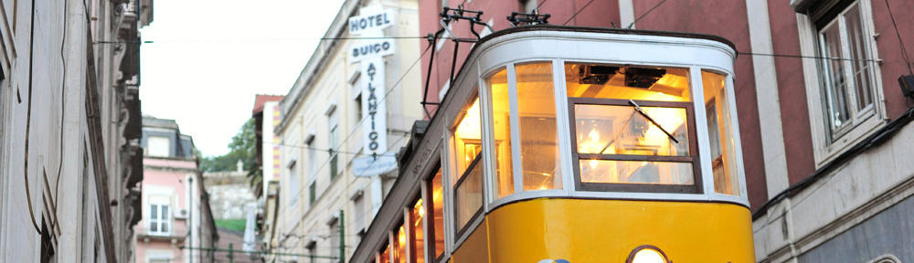 Nutrition, Naturally & Holistically